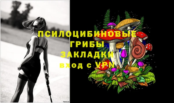 круглые Алексеевка